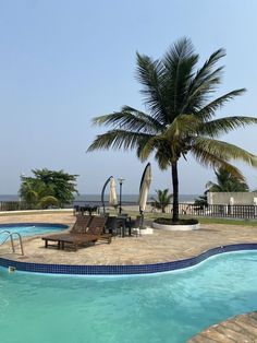 an empty swimming pool surrounded by palm trees