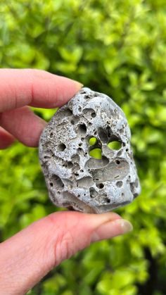 a rock with holes in it being held by someone's hand near some bushes