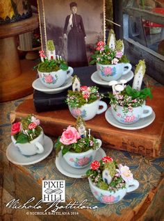 teacups with flowers and plants in them are sitting on a table next to a framed photograph