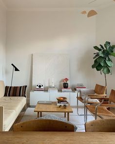 a living room filled with furniture and a potted plant on top of a table