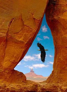 a large bird flying through an arch in the desert