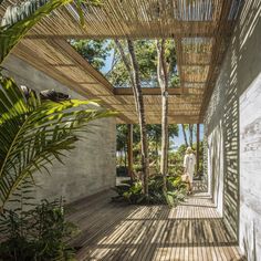 a person walking down a wooden walkway next to palm trees and other greenery on the side of a building