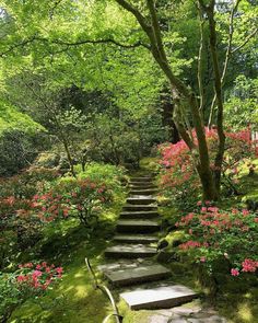 a stone path in the middle of a lush green forest with pink flowers and trees