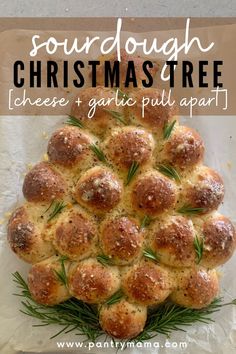 Sourdough Christmas Tree Pull Apart Bread with cheese and garlic will delight friends and family during the festive season. Sour Dough Bread Dinner Ideas, Sourdough Christmas Tree Pull Apart, Sourdough Pull Apart Cheese Bread, Sourdough Discard Pull Apart Garlic, Sourdough Appitzer, Sourdough Bread Appetizers, Easy Garlic Pull Apart Bread, Sourdough Christmas Tree Pull Apart Bread, Sourdough Christmas Appetizers