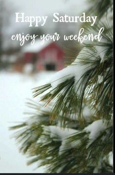 a pine tree with snow on it and the words happy saturday enjoy your weekend