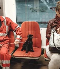 a man and woman sitting on a train with their small black dog in front of them