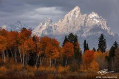 the mountains are covered in fall foliage and trees with orange, yellow, and red leaves