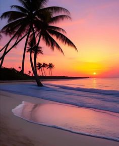 the sun is setting over the ocean with palm trees in the foreground and water on the beach