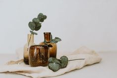 two vases with plants in them sitting on a cloth