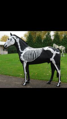 a horse that is standing in the grass with a skeleton on it's back