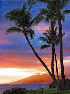 two palm trees in front of the ocean at sunset