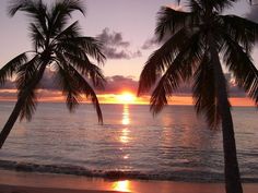 the sun is setting behind two palm trees on the beach in front of the ocean