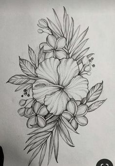 a pencil drawing of a flower with leaves