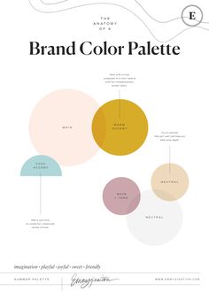 the anatomy of a brand color palette