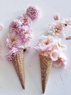 three ice cream cones filled with pink flowers