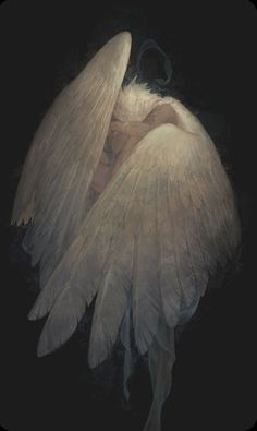 an angel is sleeping in the dark with its wings spread