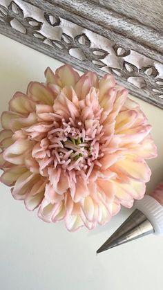 a pink flower sitting next to a pair of scissors