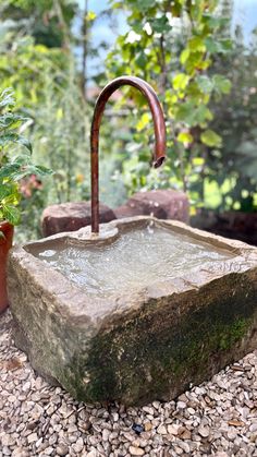 a stone sink with an umbrella shaped faucet in the middle is surrounded by plants and rocks