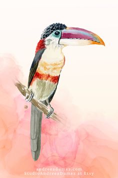 a colorful bird sitting on top of a wooden branch in front of a pink background