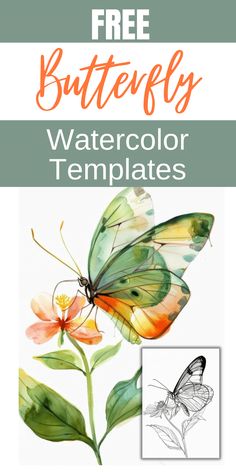 the butterfly watercolor template is shown in this image