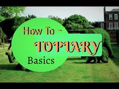 an elephant statue with the words how to topiary basics on it's back