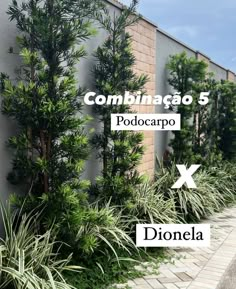 the side of a building with plants growing on it and an advertisement in spanish that reads combiaca 5 podocarp x dionela