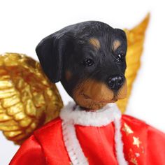 a small black and brown dog wearing a red coat with gold wings on it's head