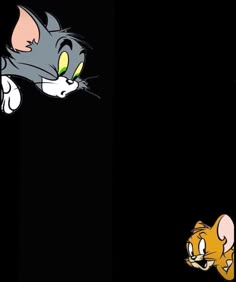 an image of two cats in the dark with one cat looking at the other side