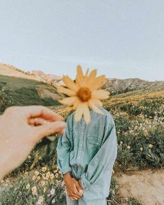 a person holding a sunflower in their hand while standing on top of a hill