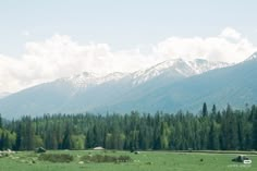 the mountains are covered with snow in the distance, and there is a green field below