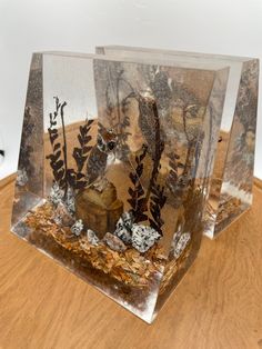 two clear glass vases with plants and rocks in them on a wooden table top