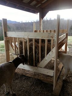 two goats are eating hay out of a feeder