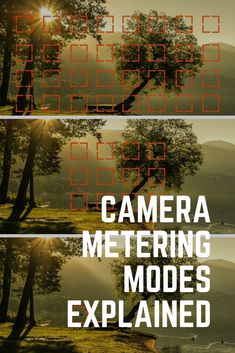 three different types of trees with the words camera metering modes explain