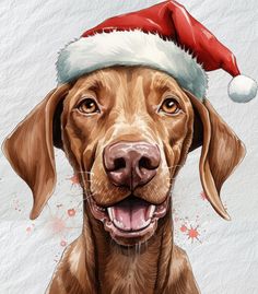 a brown dog wearing a santa hat on top of it's head