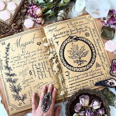 Post Cards Aesthetic, Grimoire Cover Ideas, Witch Book Cover, Grimoire Aesthetic, Grimoire Cover, Cards Aesthetic, Tea Before Bed, Autumnal Equinox, Plant Protection