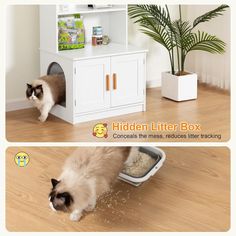 two pictures of a cat eating out of a litter box next to a wooden floor