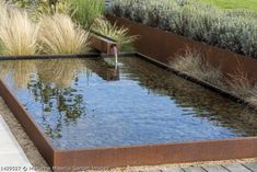 an outdoor water feature in a garden with grass and plants on the other side of it