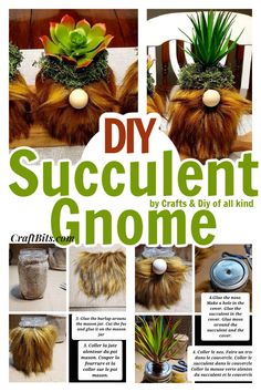 the instructions for making succulent gnomes are shown in this article, which includes pictures