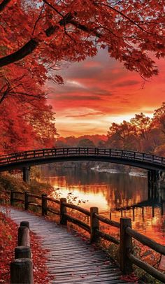 a bridge that is over some water in the fall time with red leaves on it