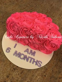 the cake is decorated with pink roses and says i am 6 months on it's side