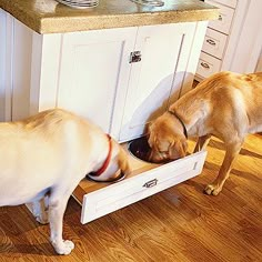 two dogs are eating out of an open drawer