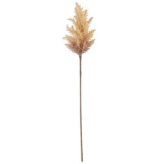 35" Light Brown w/Peach Pampas Grass – Evolution Home Decor Colored Pampas, Peach Tones, Candle Accessories, Nature Indoors, Autumn Cozy, Soft Natural, Pampas Grass