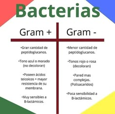 a cross with the words bacterias and gramm written below it in spanish