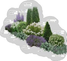 a bunch of different types of plants in the shape of a cloud with words on it