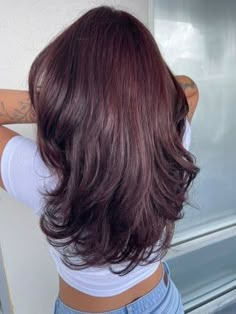 Dark Cherry Brown Hair Burgundy, Cherry Black Hair Color Burgundy, Cherry Red Hair On Brown Hair, Cherry Colour Hair, Cherry Red Hair On Black Hair, Dark Hair Red Tint, Dark Red Tinted Hair, Red Wine Color Hair, Dark Red On Black Hair