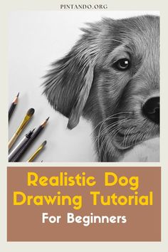 realistic dog drawing with colored pencils for beginners by pinnado org