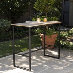 an outdoor table with a plant and books on it