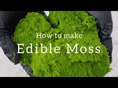 the words how to make edible moss in black gloves