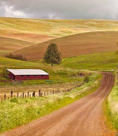 a dirt road in the middle of an open field with a barn and trees on it