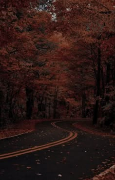 an empty road surrounded by trees in the fall